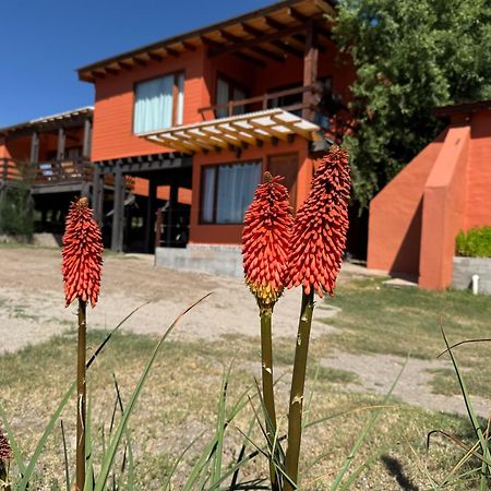 Cabana El Churqui Tafí del Valle エクステリア 写真