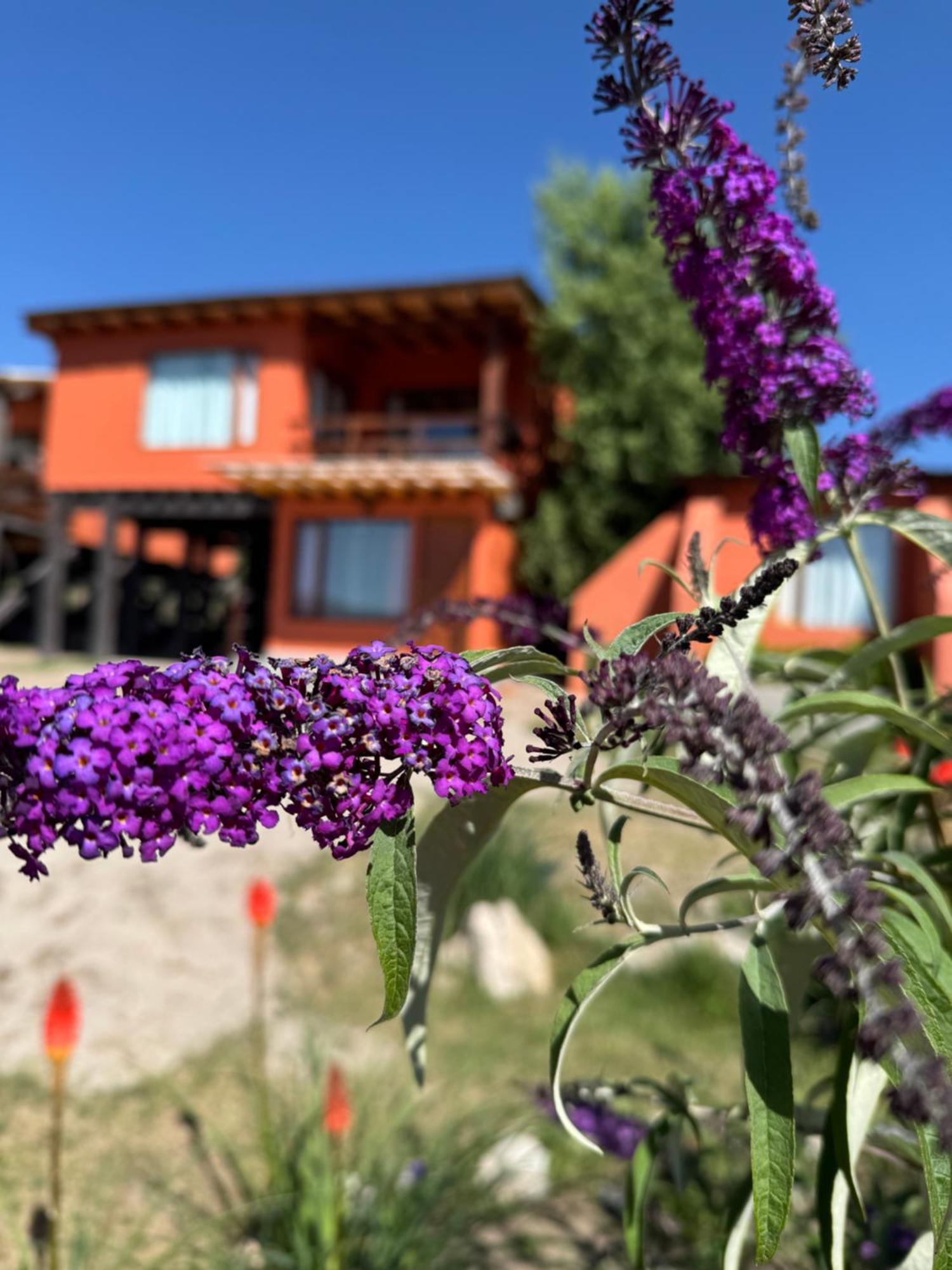 Cabana El Churqui Tafí del Valle エクステリア 写真